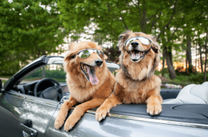 Free Car Parking in Rotherham for a Month