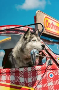 Our car park in Rotherham offers the lowest fees in town, with CCTV surveillance for added security and convenient proximity to the town centre.