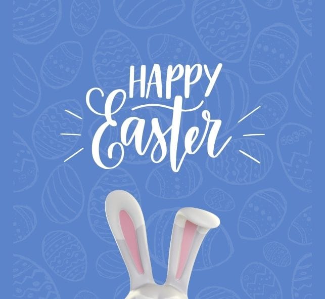 Close-up of a hare's ear against a serene blue background, heralding Easter celebrations.
